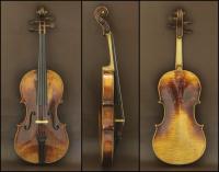 Viola - W. Hoyer 1884